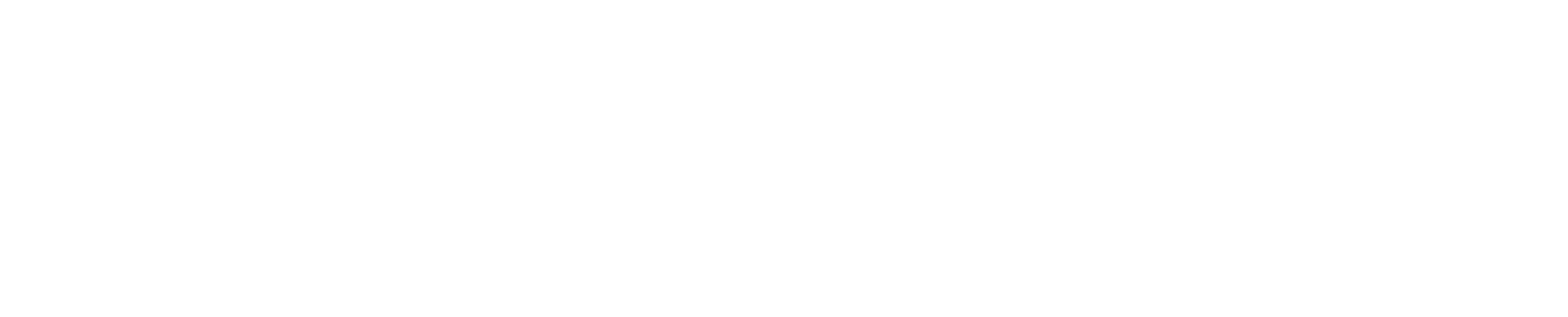 Solutions Group Logo